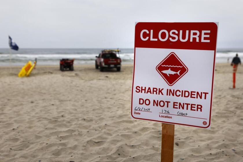 Del Mar, CA - June 2: A 46-year-old swimmer was attacked by a shark and suffered "significant" injuries prompting officials to close a 2-mile stretch of beach to swimmers and surfers as a precaution on Sunday, June 2, 2024 in Del Mar, CA. (K.C. Alfred / The San Diego Union-Tribune)