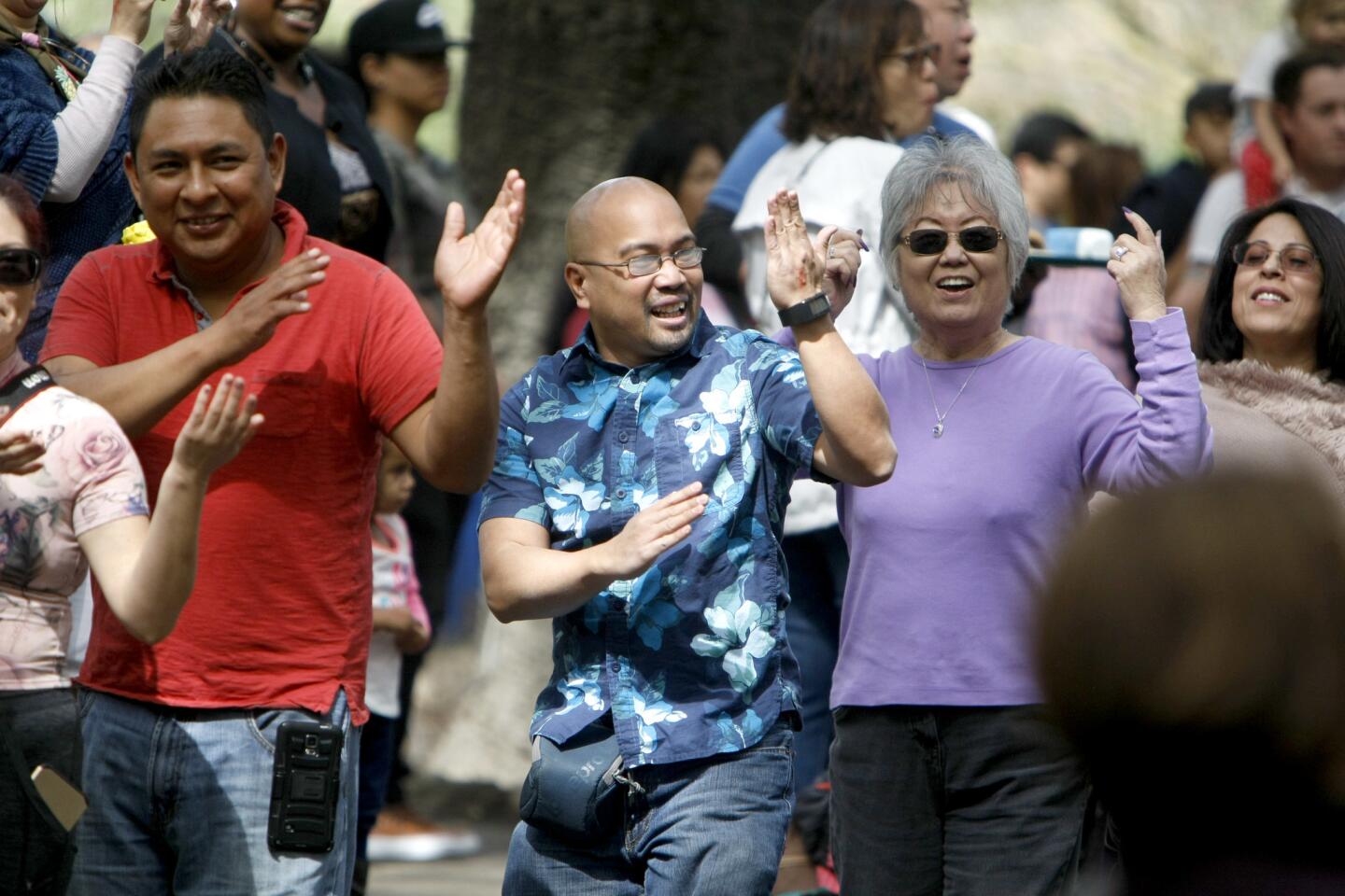 Photo Gallery: Annual Cherry Blossom Festival at Descanso Gardens