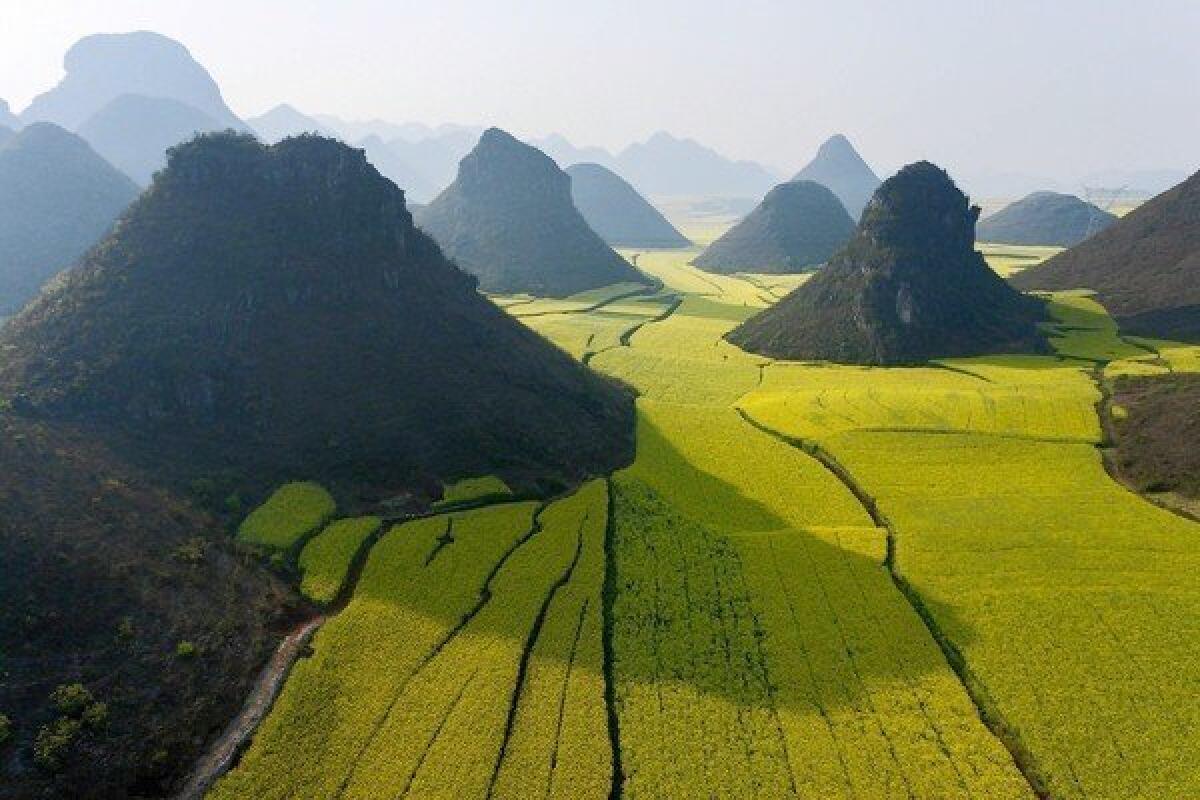 Limestone hills in China amid fields in bloom create an otherworldly image. For more images, go to latimes.com/natgeo.