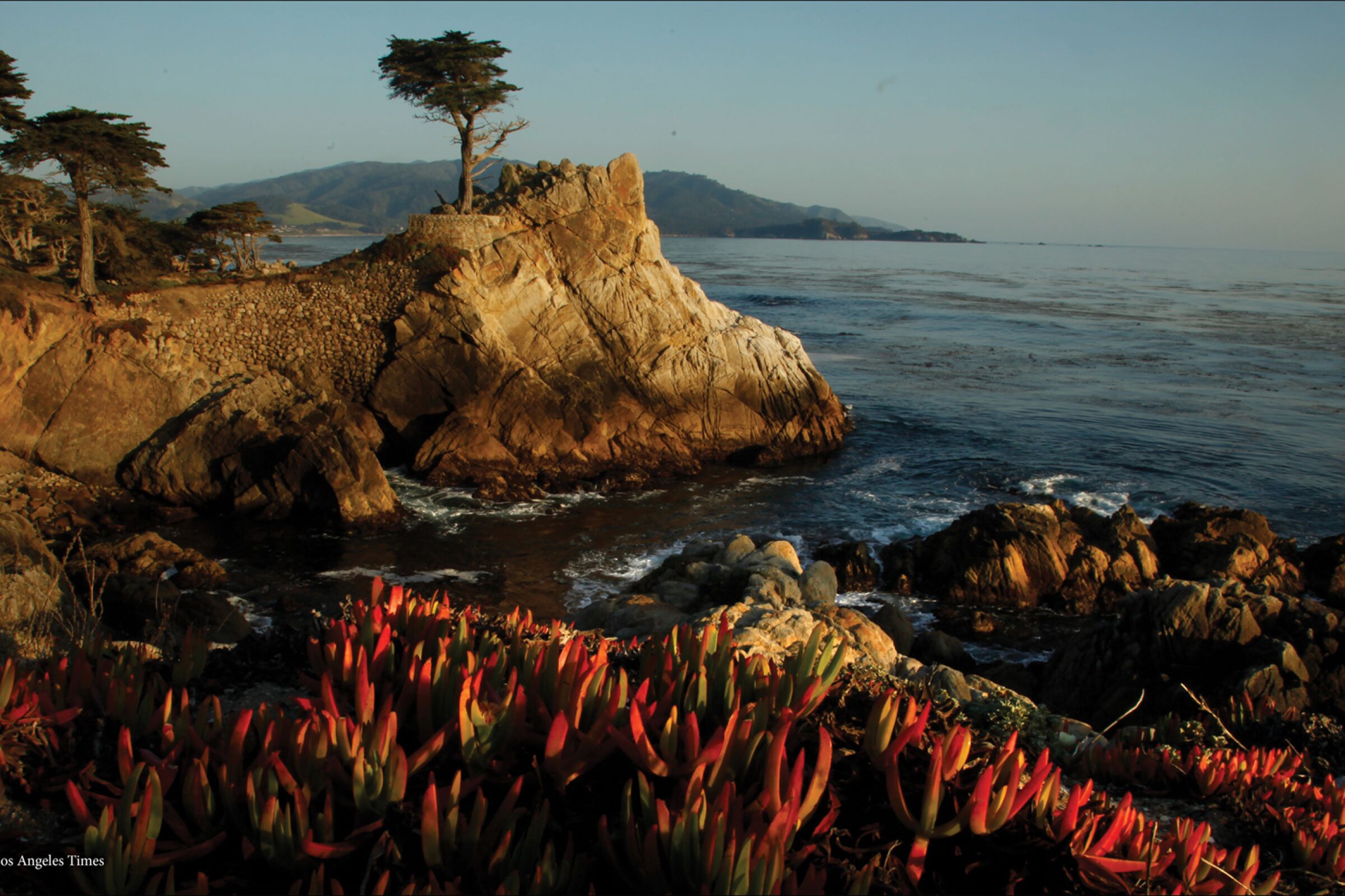 The Lone Cypress, located on a rocky ledge along 17 Mile Drive  south of Carmel.