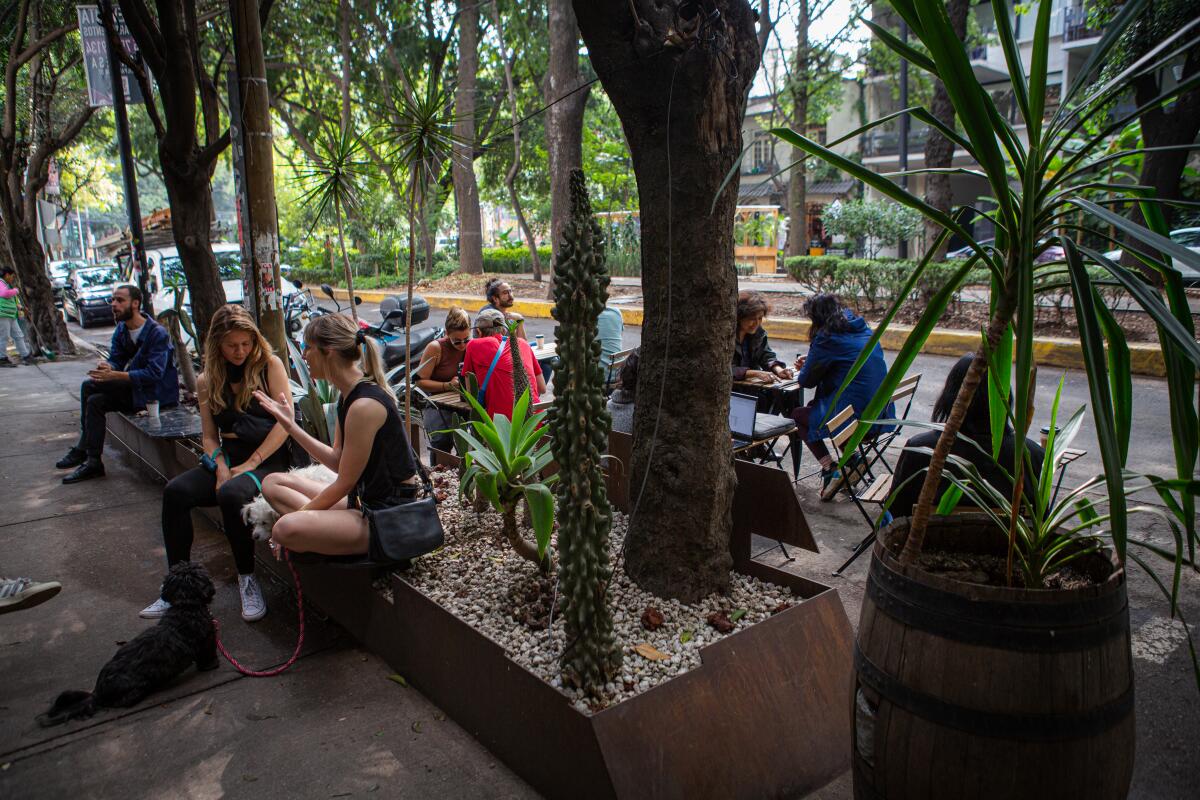  Cafe-goers sit at Quentin Cafe, a coffee shop popular with Americans  in the Condesa neighborhood of Mexico City on July 6.