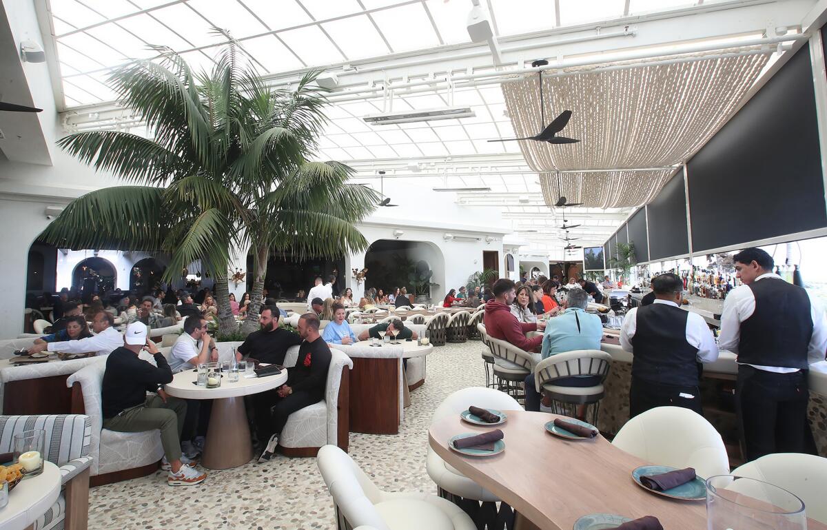 javiers newport beach dress code ORANGE COUNTY. Coming back to the OC and LA reminded me how effortlessly perfect the food and weather are... thinking of changing my area code to 949.. . Javier's in Newport