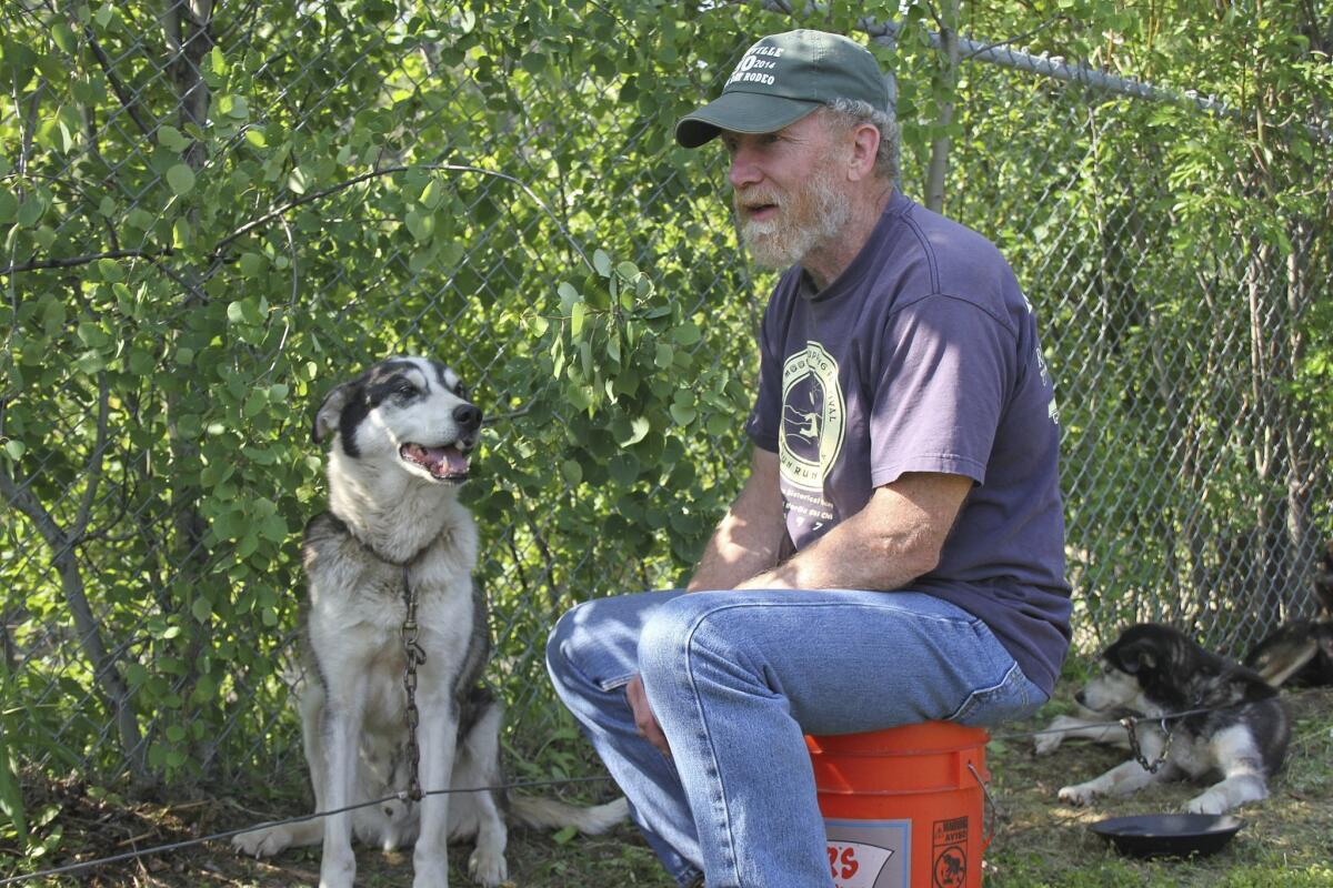 Steve Charles sits alongside his sled dog, Bridger, at an American Red Cross evacuation center in Houston, Alaska. Many mushers had to evacuate not only themselves but their dogs after a fast-spreading wildfire sprang up near Willow, Alaska.