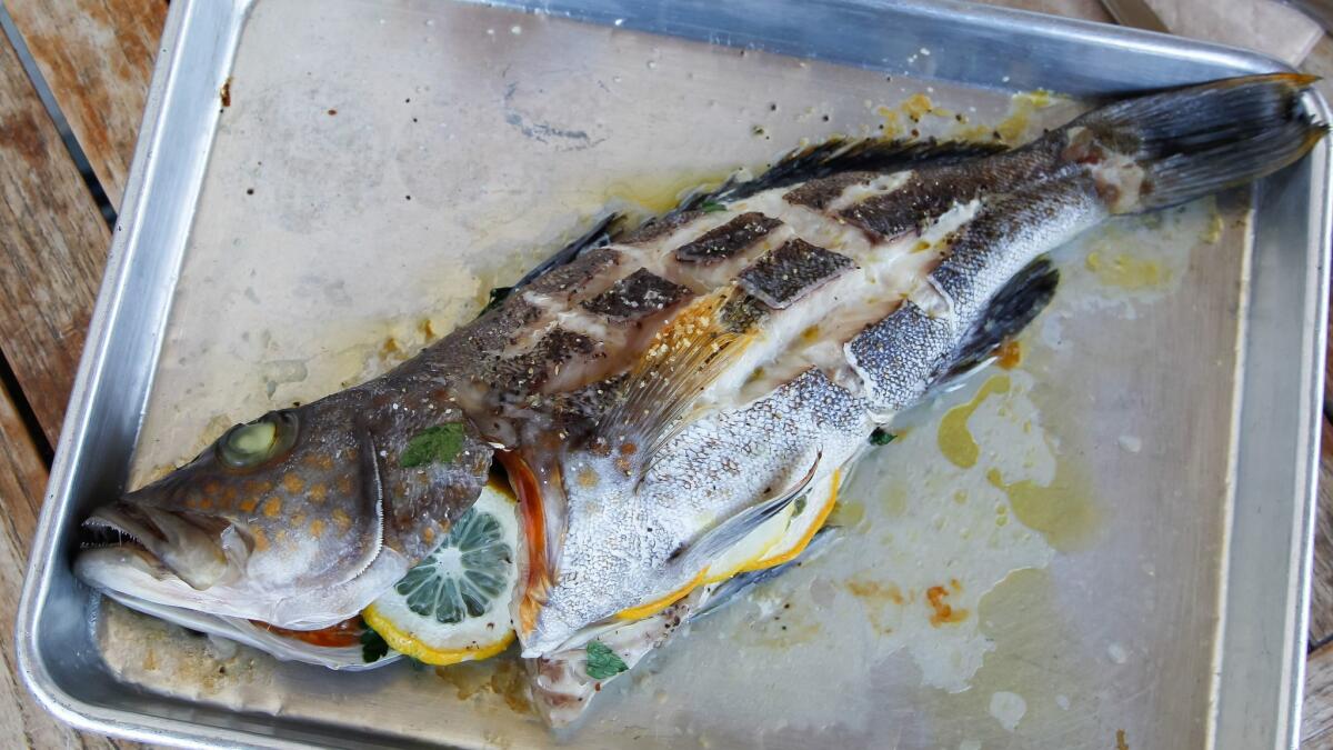 A whole roasted gold spot bass, prepared by Mitch Conniff.