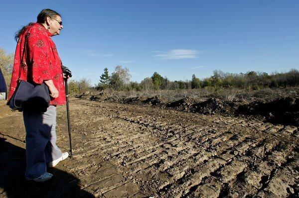 Botanist Ellen Zunino visits the Sepulveda Basin vegetation management area, formerly a designated wildlife reserve. Forty-three acres were reduced to piles of broken limbs and bare dirt by the Army Corps of Engineers in preparation for replanting with native grasses.