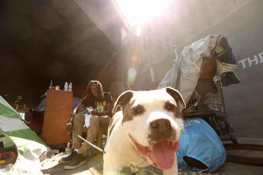 LOS ANGELES, CA - JULY 08, 2020 - - Kim M. and her dog Dee-O-G live homeless under the Santa Monica freeway along Venice Blvd. in Los Angeles on July 8, 2020. The city and county of Los Angeles plan to move people from the freeways. U.S. District Judge David O. Carter passed a landmark court order banning homeless encampments from under and along Los Angeles freeways. (Genaro Molina / Los Angeles Times)