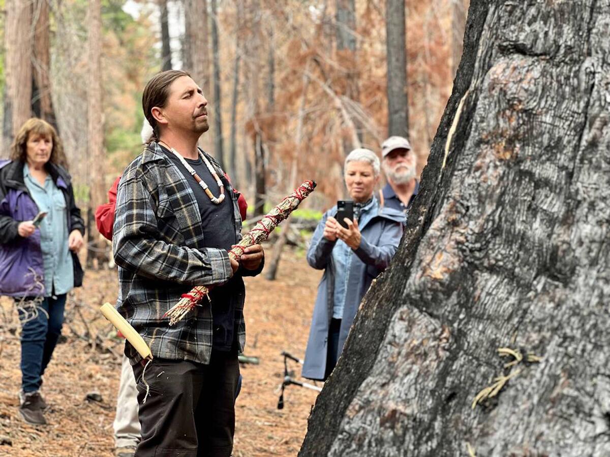 A man stands with his eyes closed near a tree in a forest. People in the background record him with cellphones.
