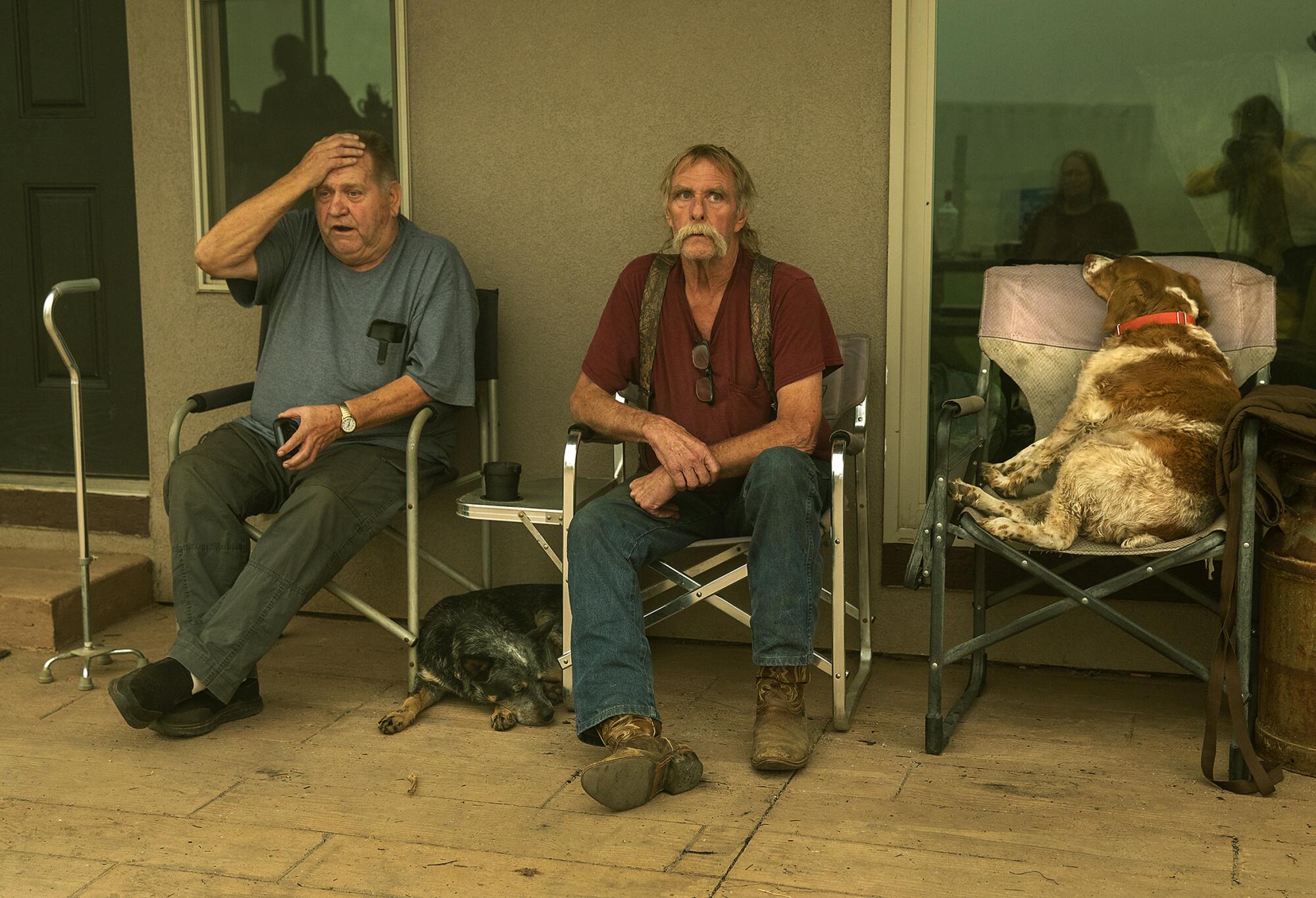Greenville residents Gould Fickardt and Woody Hovland sit with their dogs outside a friend’s home.