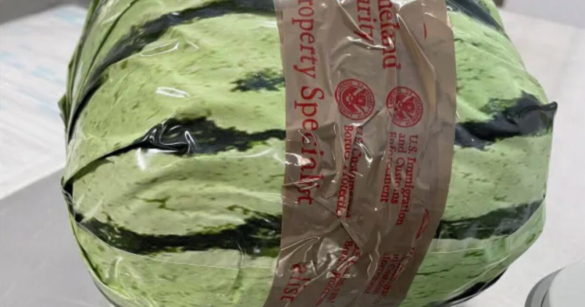 Meth price hundreds of thousands discovered at California border disguised as watermelon