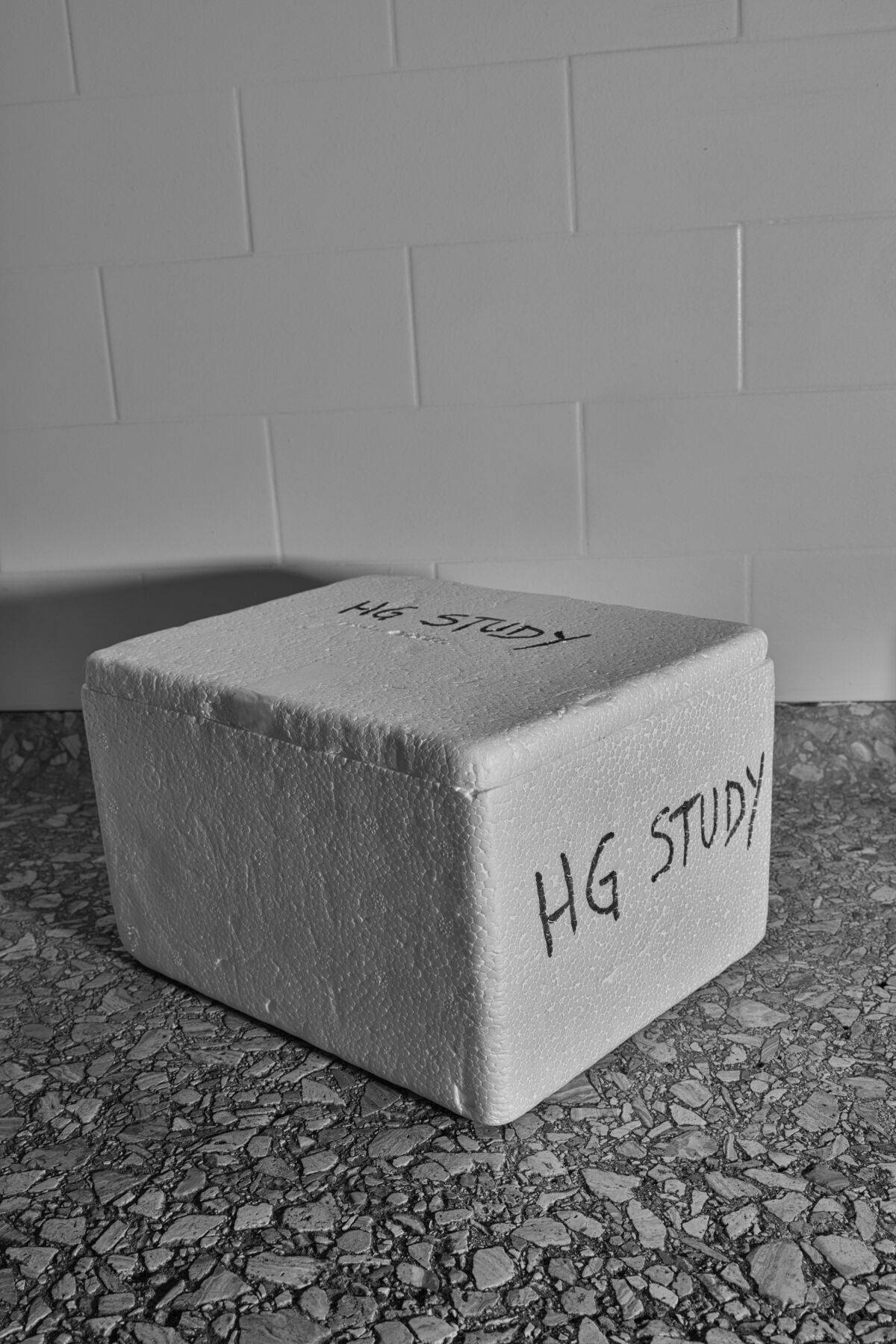 A styrofoam box used in research.