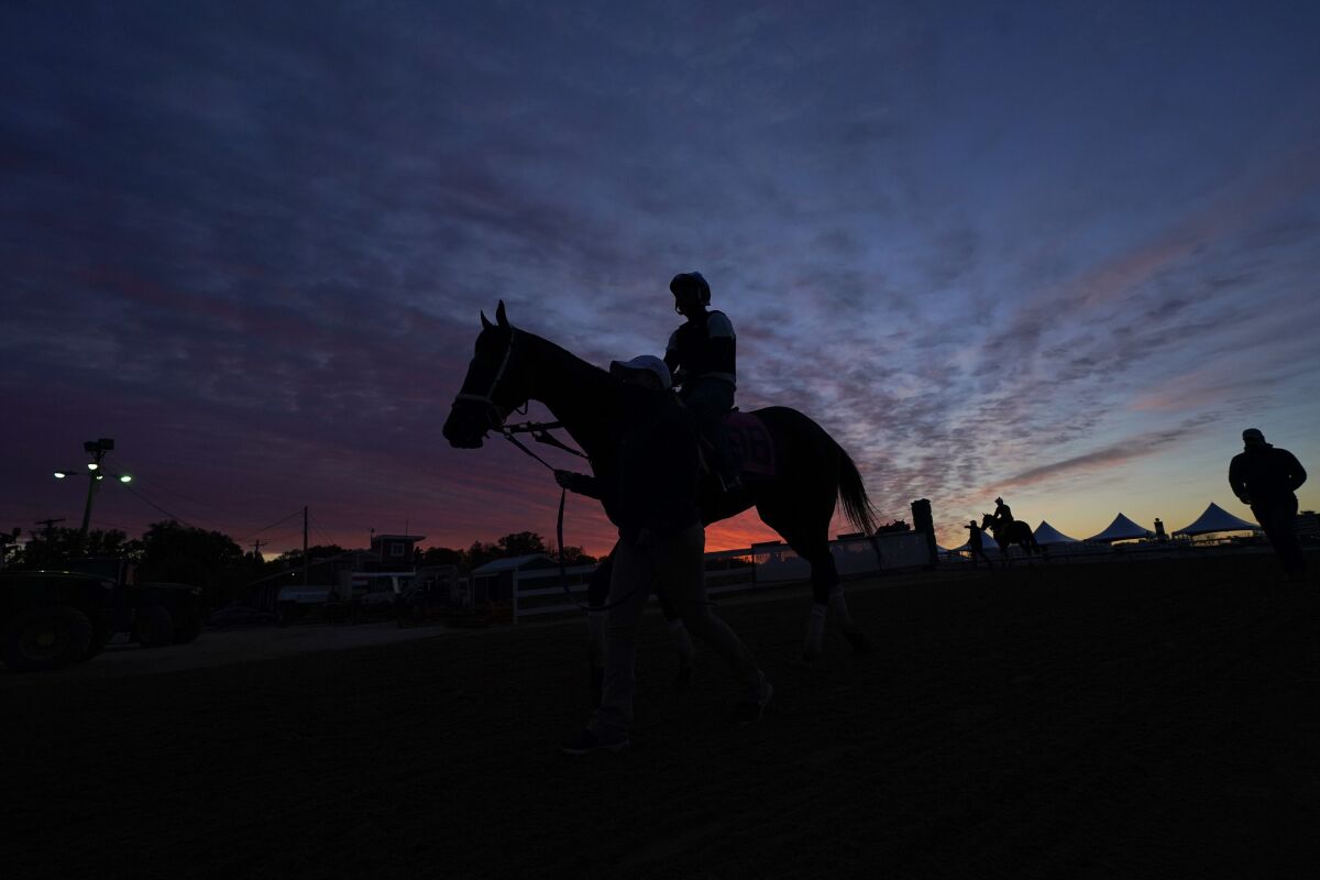 A horse takes part in a morning exercise routine at Pimlico Race Course in Baltimore on Wednesday.