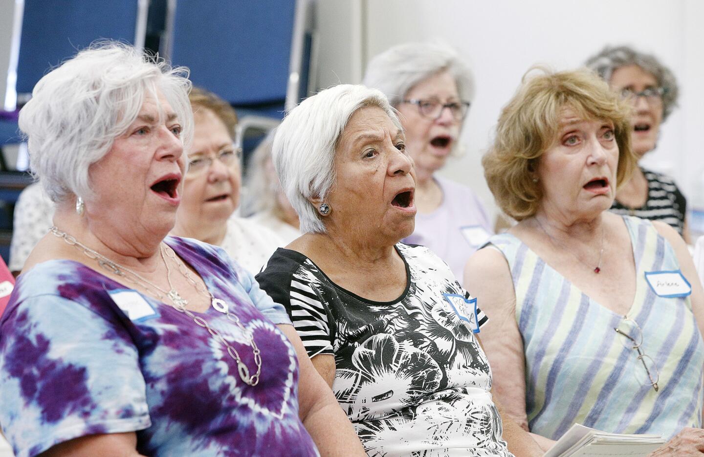Photo Gallery: Verdugo Hills Women's Chorus summer fun sing