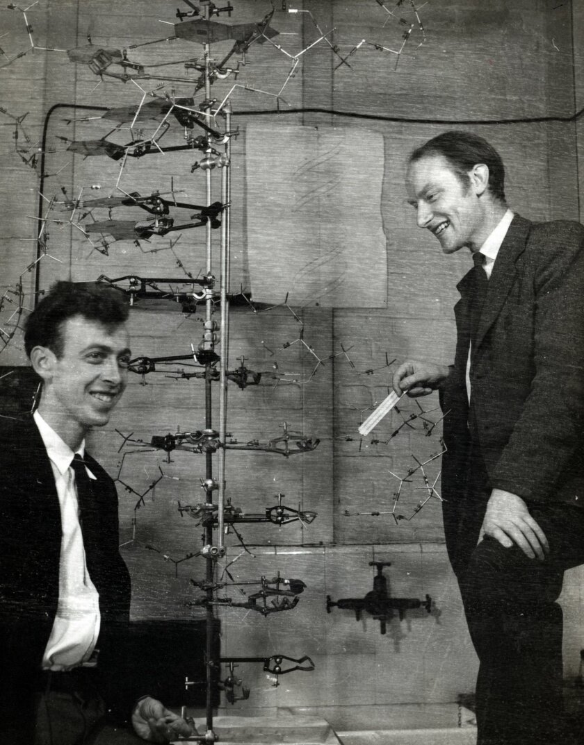 watson and crick experiment conclusion