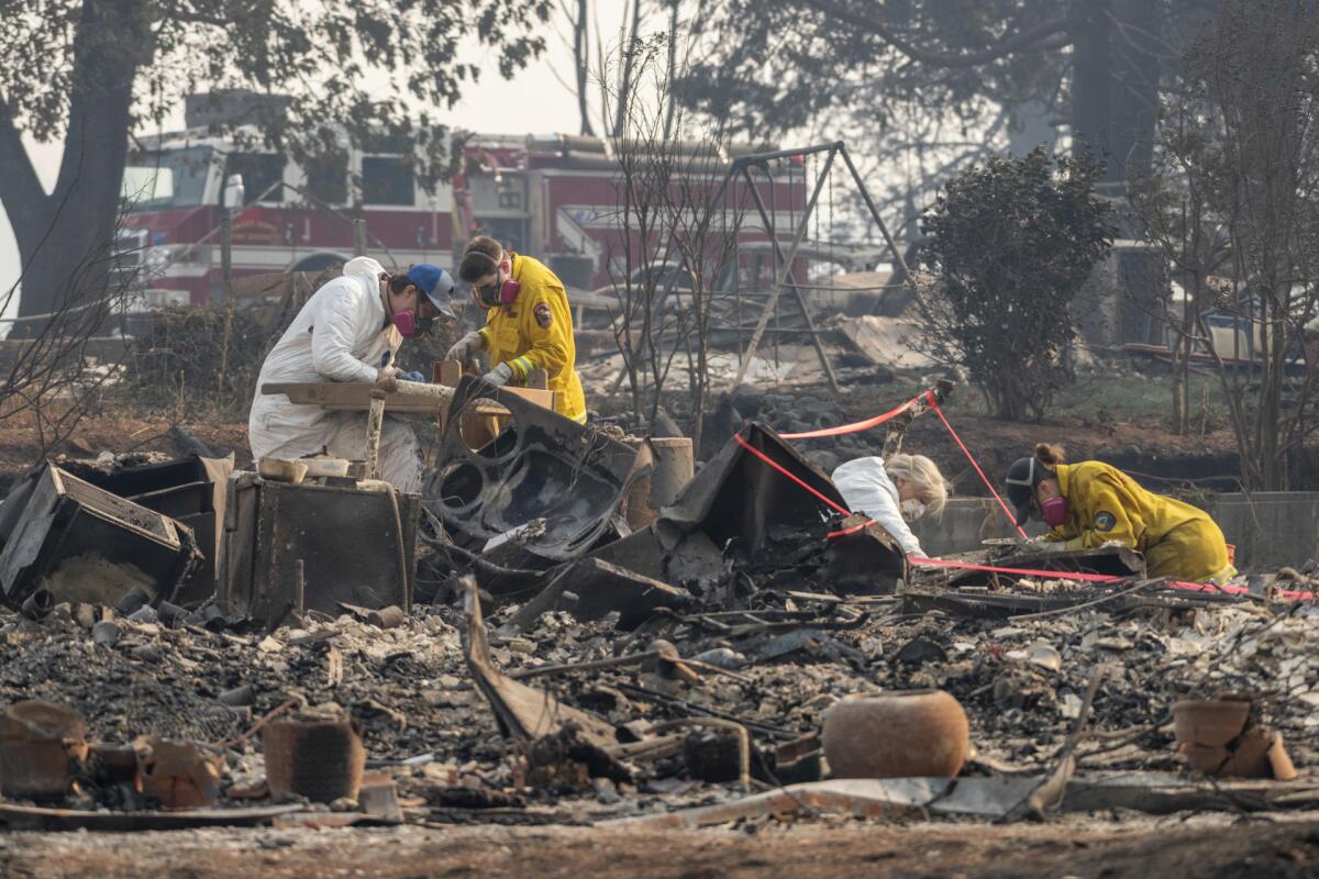 Forensic anthropologists sift fire debris to locate human remains. 