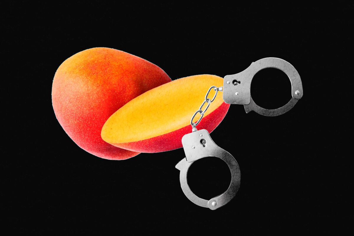 A mango and a pair of handcuffs