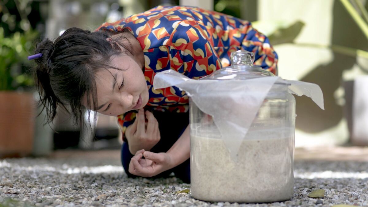 Yong Ha Jeong, a Los Angeles-based sool (Korean alcohol) brewer, uses wax paper to cover a mixture of mixed steamed rice and mash while she teaches the brewing of makgeolli.