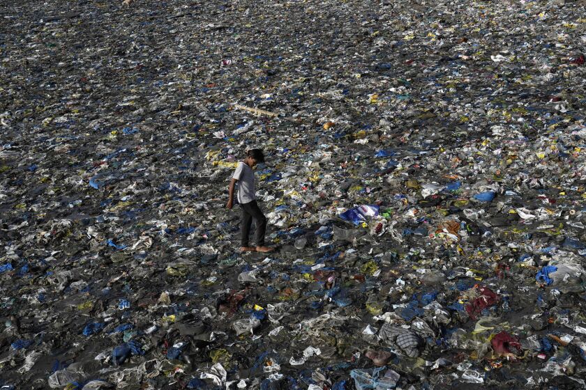A boy walks on the plastic waste at the Badhwar Park beach on the Arabian Sea coast on World Environment Day in Mumbai, India, Monday, June 5, 2023. (AP Photo/Rajanish Kakade)
