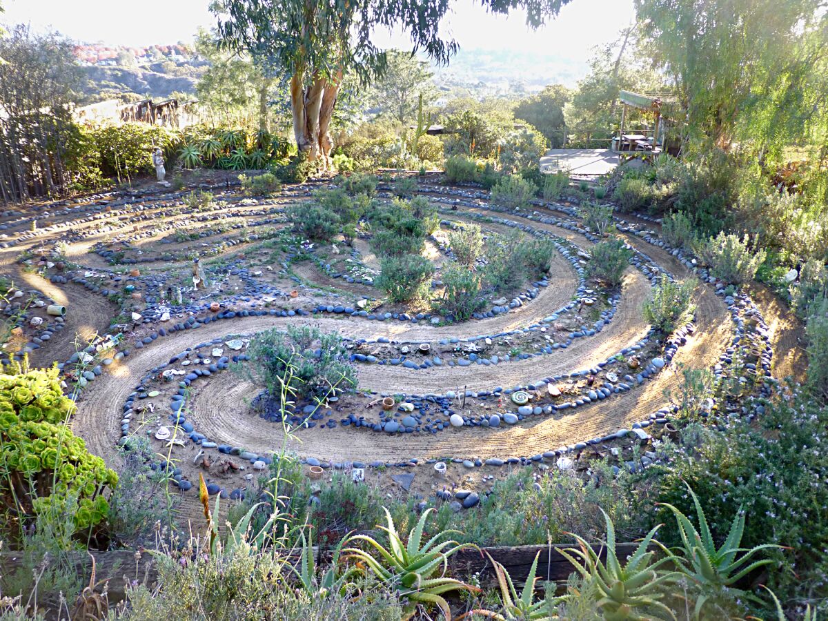 A succulent maze in the backyard of a home on a garden tour.