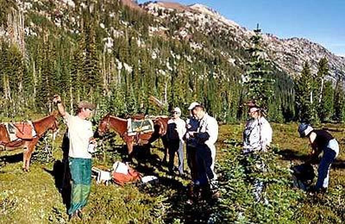 A ranger, left, directs American Hiking Society volunteers restoring a trail in Eagle Cap Wilderness, Ore.