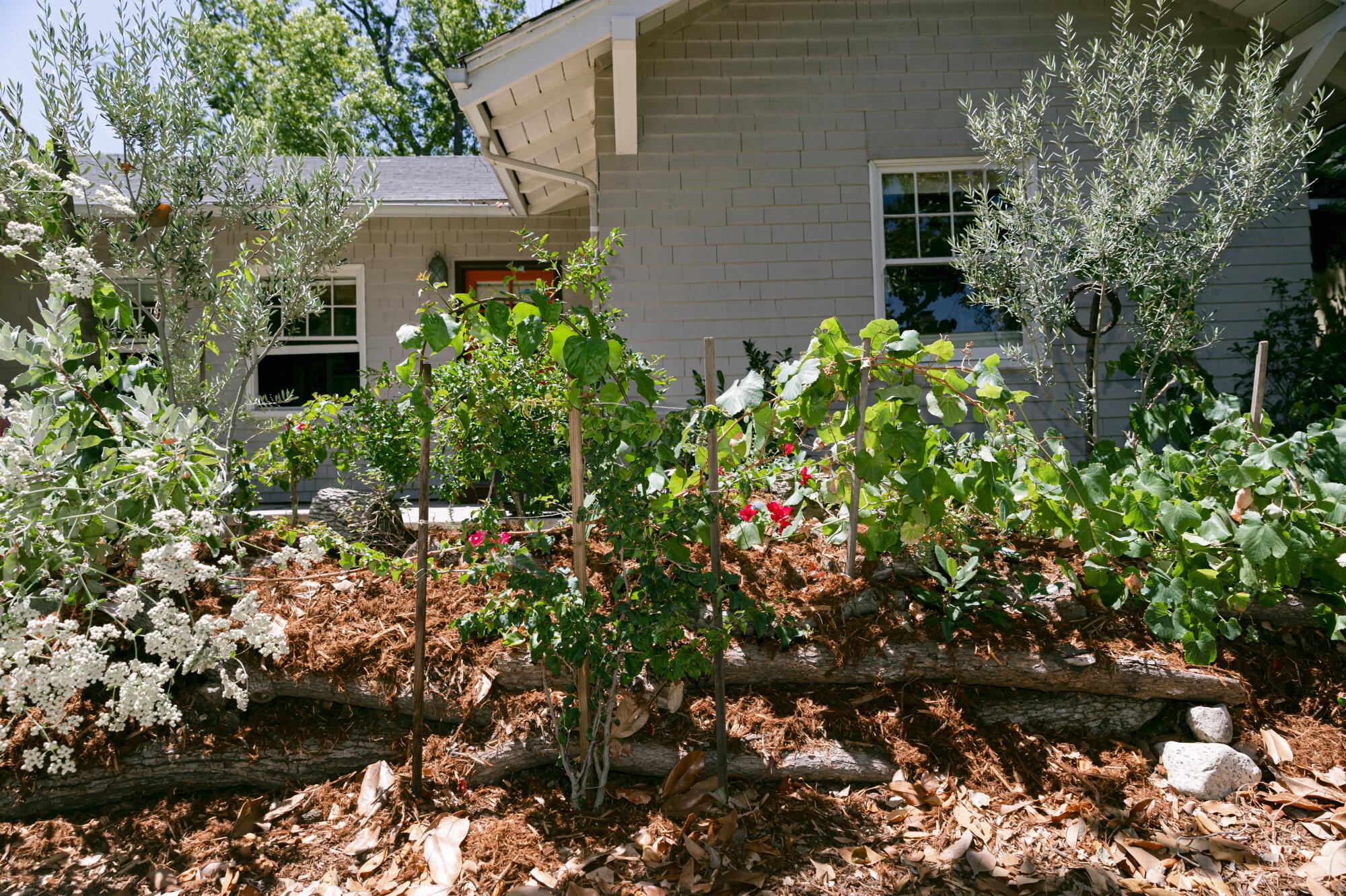 A garden in front of a house