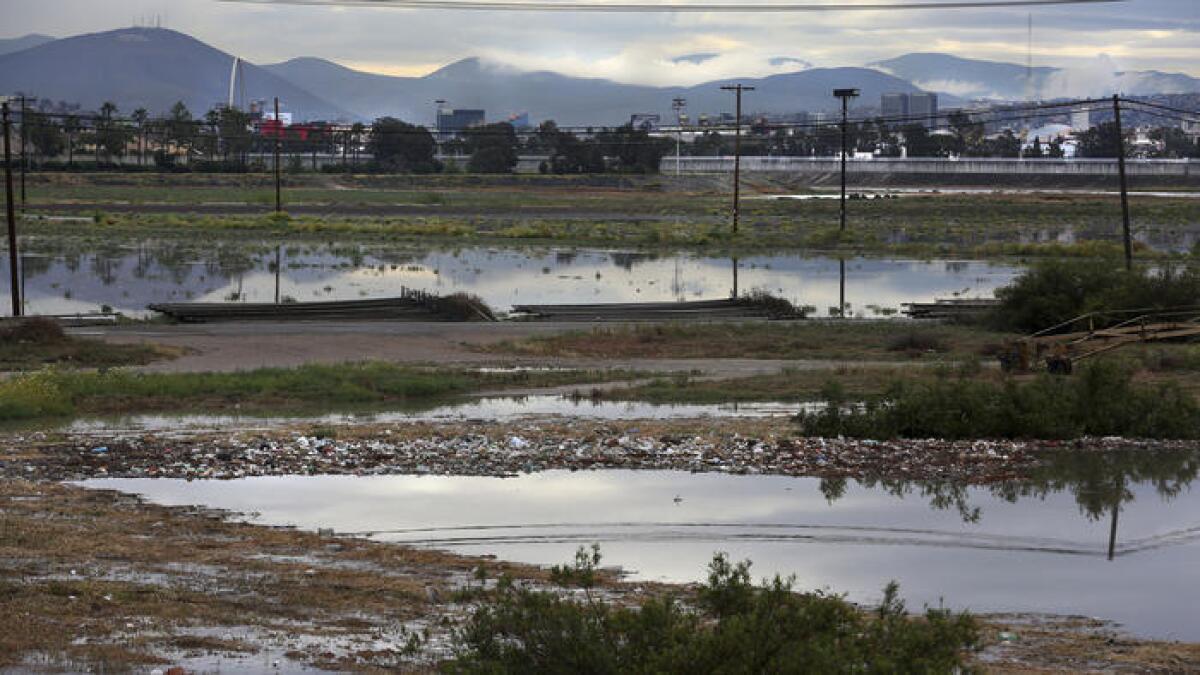 Después de unos días de lluvia durante la primavera se observa la llanura inundada justo al norte de la valla fronteriza, junto a una planta de tratamiento de aguas residuales, se veía llena de escorrentía e islas de basura (Peggy Peattie / San Diego Union-Tribune).