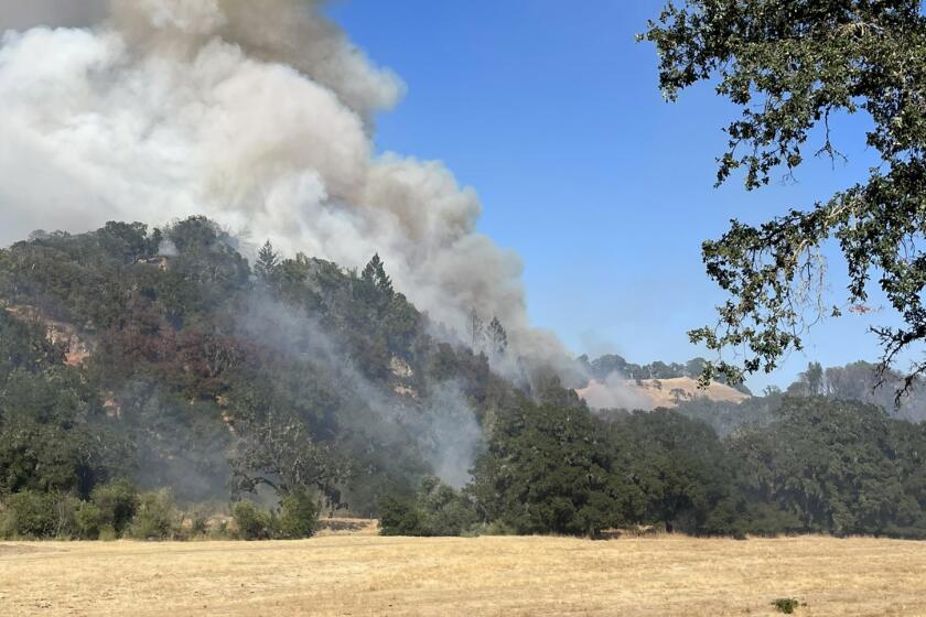 A Shasta County man was arrested in connection with the 36-acre Flora Fire in the North Bay, which Cal Fire officials said he started last Wednesday after driving his truck without a front right tire for over four miles.