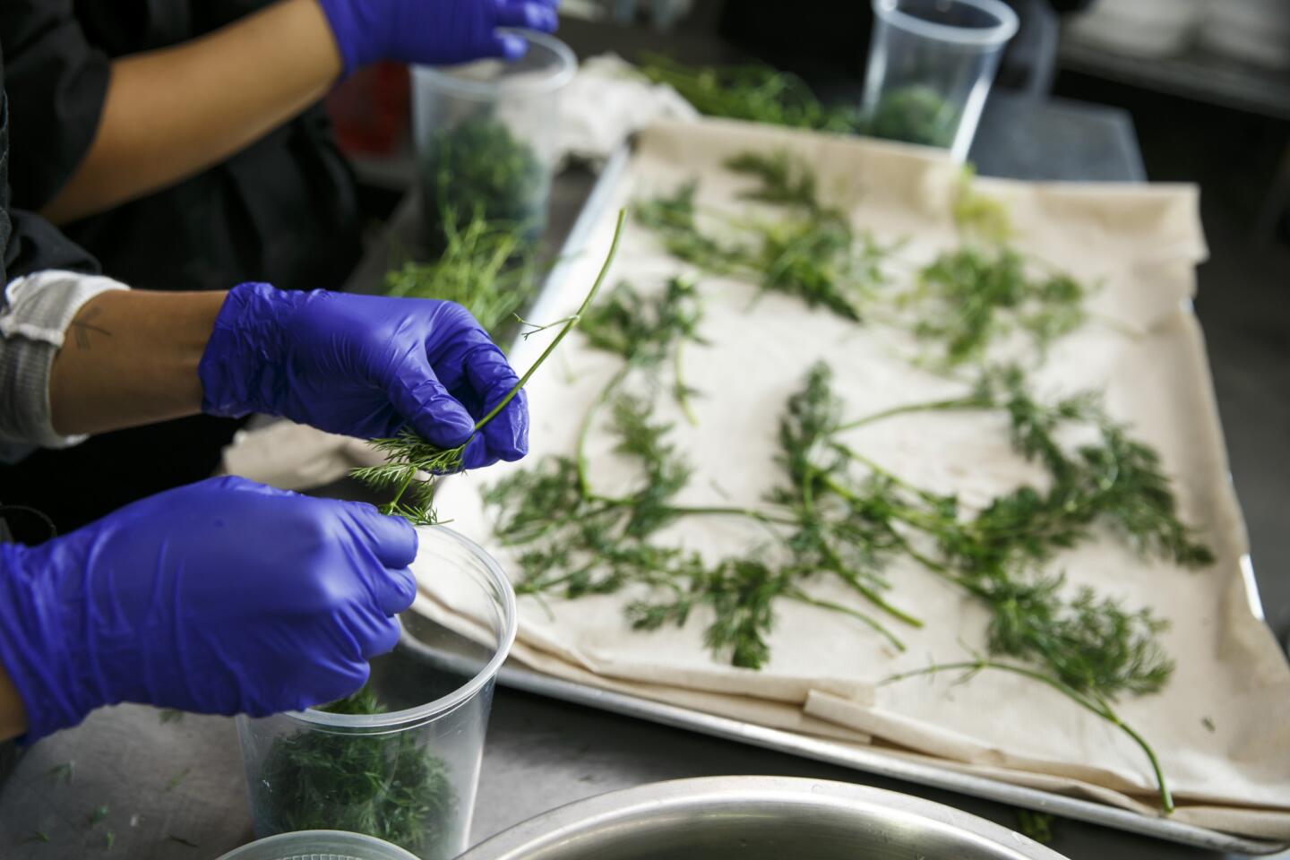 Workers at Salt & Straw's ice cream factory ready dill for use.