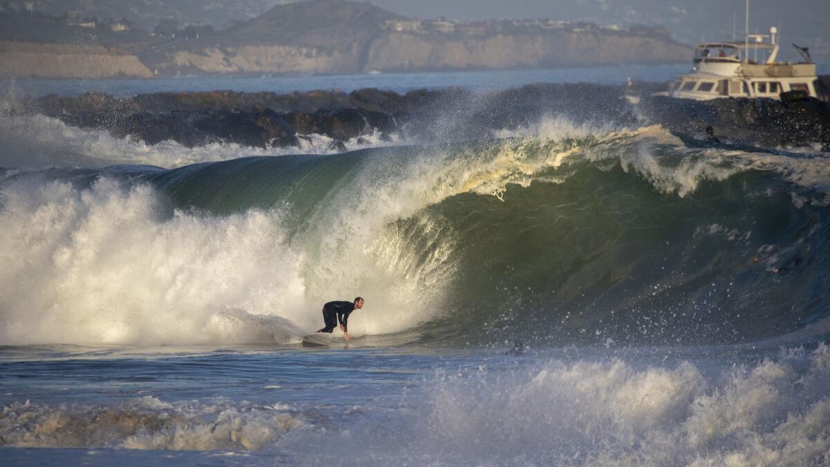 A surfer rides a wave in Newport Beach on Monday.