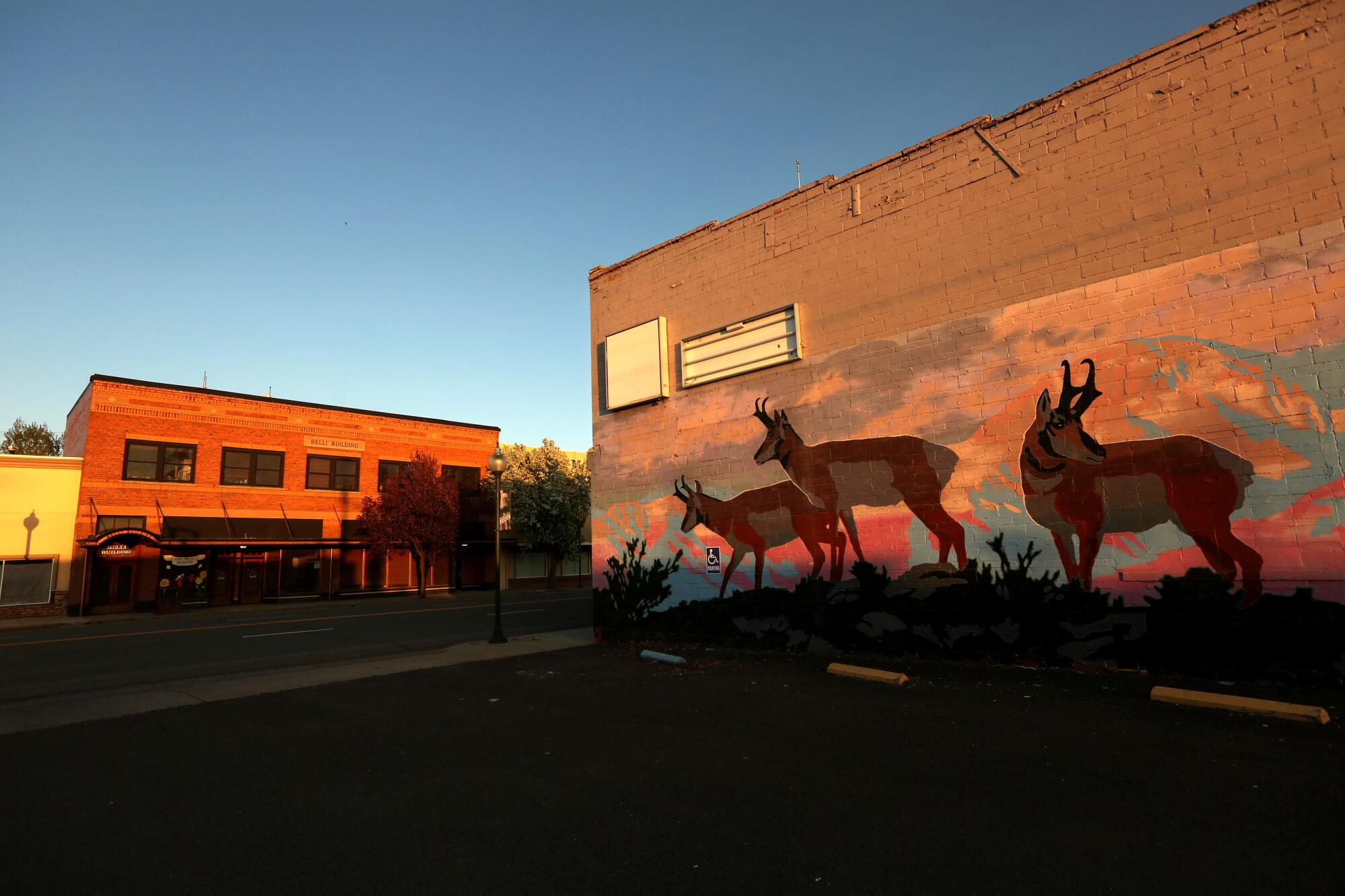 A mural of deer painted on the side of a building in downtown Alturas.