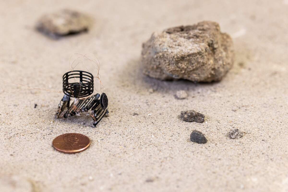 A tiny robot created by a 3-D printer on a sandy surface beside a penny