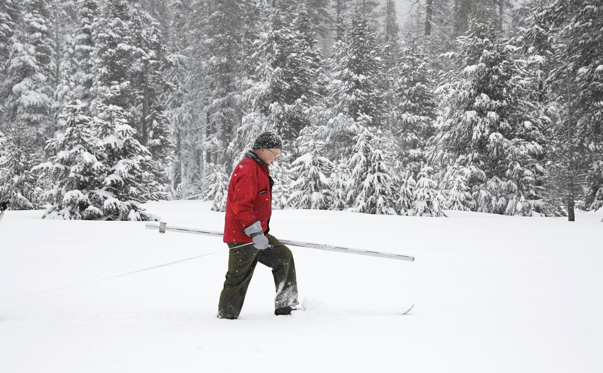 Frank Gehrke of the California Department of Water Resources surveys the snowpack at Phillips Station near Echo Summit, Calif.
