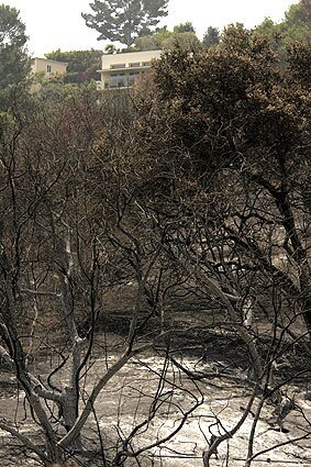 Griffith: After the fire