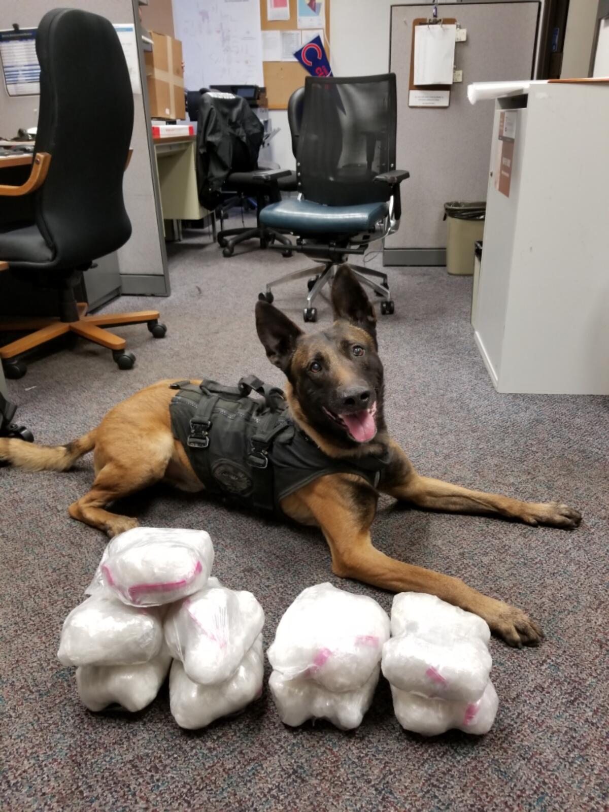 Marco sits with evidence from a narcotics arrest in December 2017.