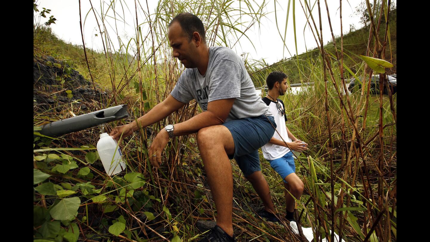 A family fills as many plastic containers as they can find with water from a mountain stream. Millions of people are without running water in Puerto Rico due to Hurricane Maria.