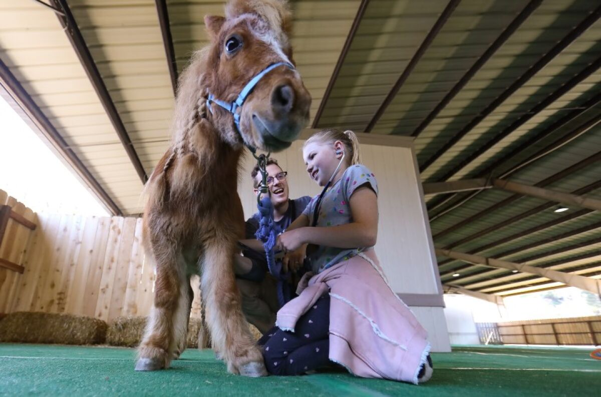 Kaylee Taylor, 9, uses a stethoscope to listen to the heart of Fable, a miniature horse, with the help of Justin Norris, education coordinator at the Helen Woodward Animal Center, during the one-day veterinarian camp in Rancho Santa Fe on Feb. 8.