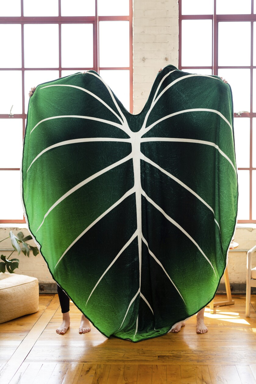 A cozy blanket is in the shape of a tropical leaf.