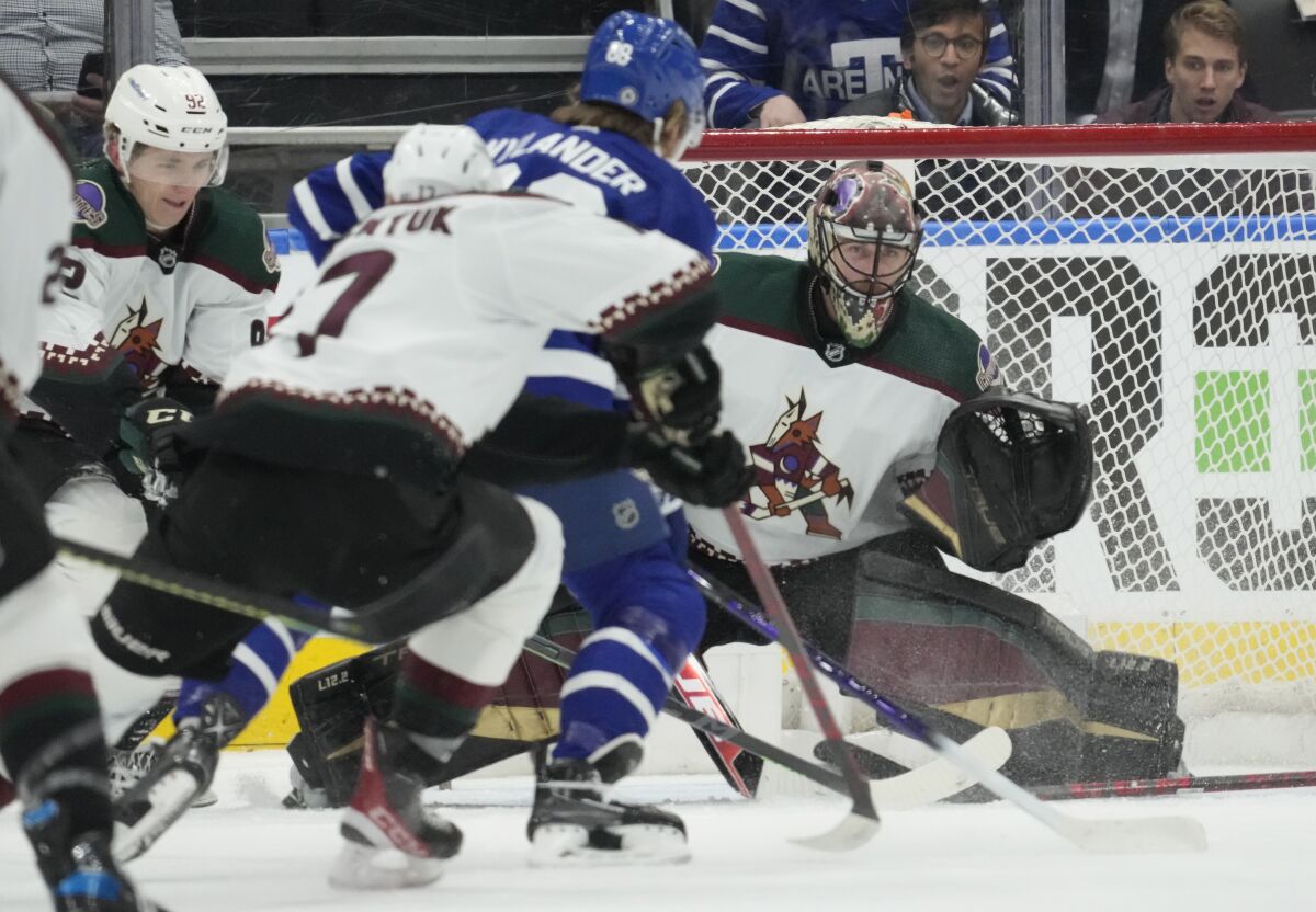 Arizona Coyotes goaltender Scott Wedgewood (31) watches for the puck as Toronto Maple Leafs right wing William Nylander (88) moves toward the net during first-period NHL hockey game action in Toronto, Ontario, Thursday, March 10, 2022. (Frank Gunn/The Canadian Press via AP)