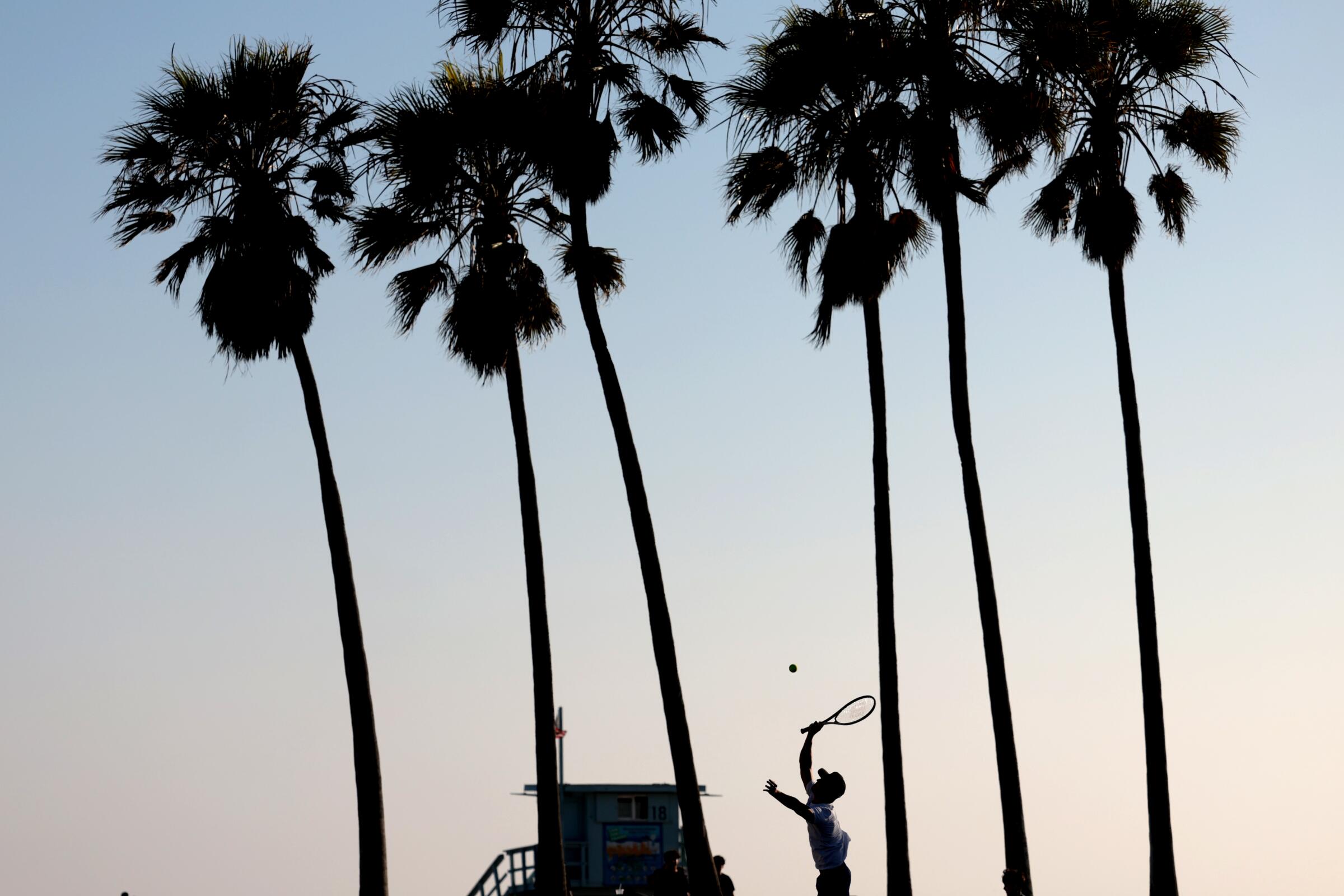 A silhouette of a man and palm trees. The man holds a tennis racket and is about to hit a ball.