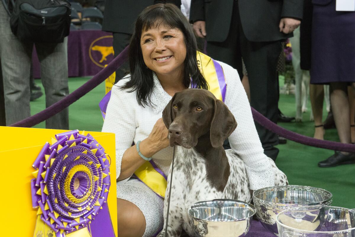 CJ, a German shorthaired pointer, wins Best in Show at the 140th annual Westminster Kennel Club dog show at Madison Square Garden in New York City.