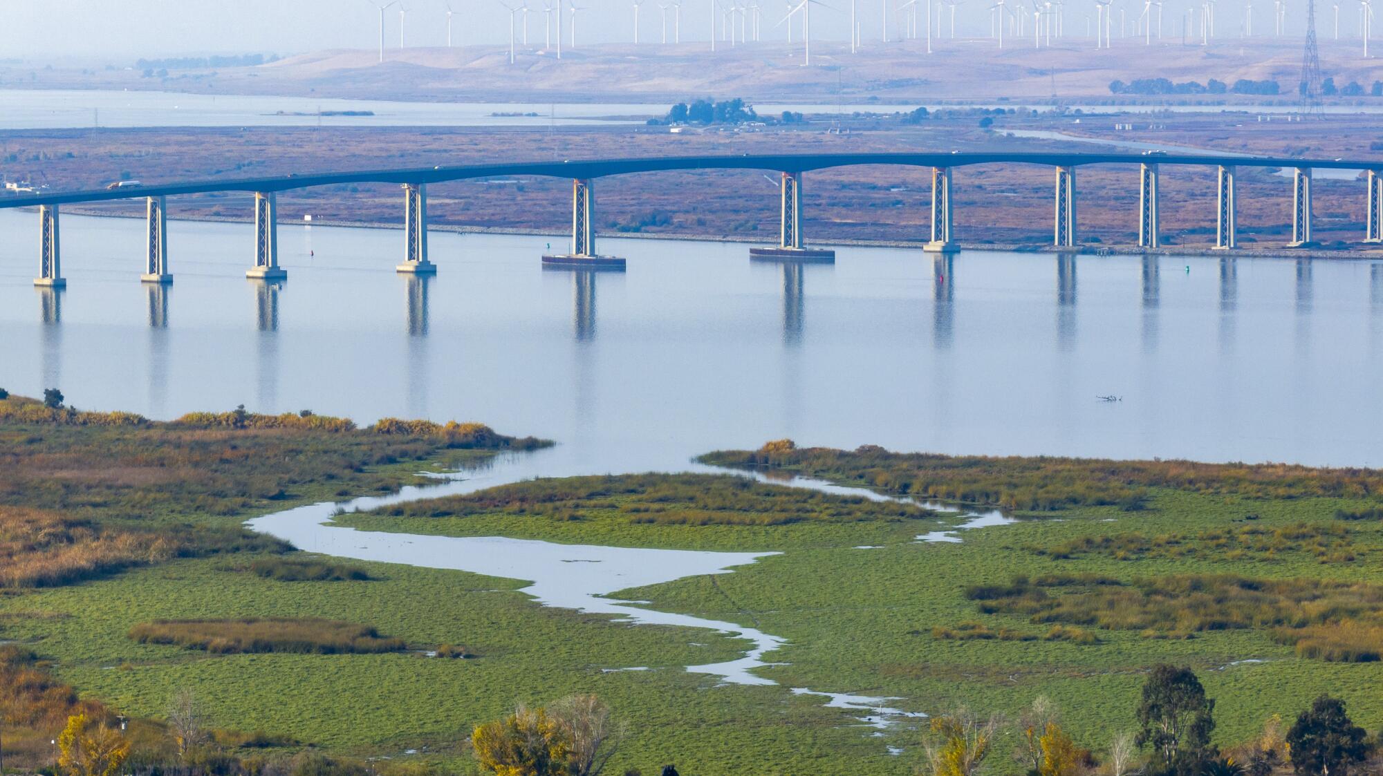 A bridge spans a river and wetland area.