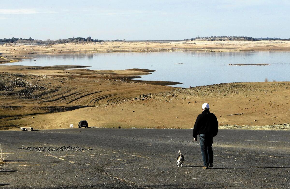 A visitor to Folsom Lake in California's Central Valley walks his dog down a boat ramp that is now several hundred yards from the water's edge. At a mere 17% capacity, the lake has become a visual symbol of California's water crisis.