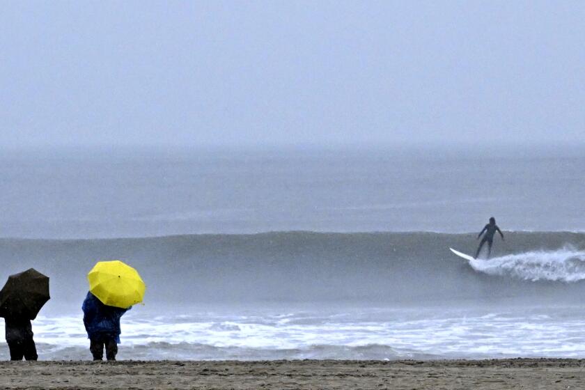 Unas personas caminan junto al mar mientras surfistas montan las olas durante una tormenta en Venice Beach, en Los Ángeles, California, el sábado 14 de enero de 2023. (Keith Birmingham/The Orange County Register via AP)