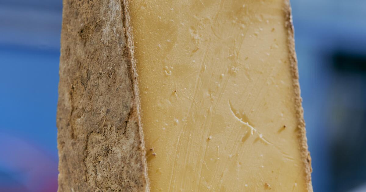 Here's why fall is the best season for cheese