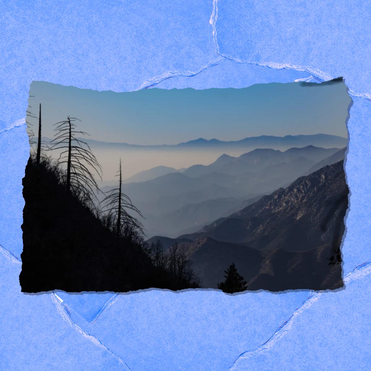 Fog fills the space between mountain ridges. In the foreground are silhouettes of tall trees.