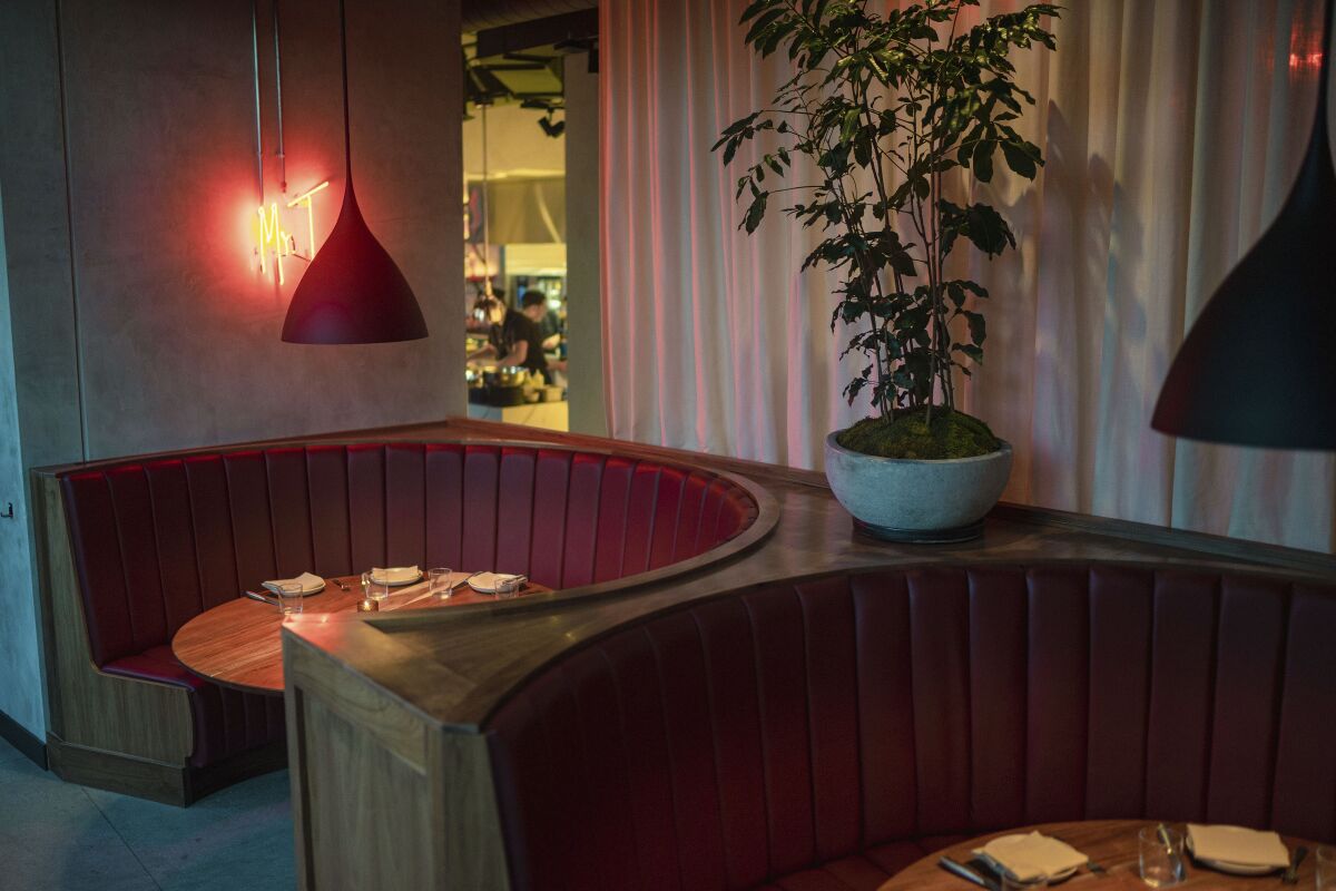 Two curved booths against a wall in a restaurant, with a potted plant
