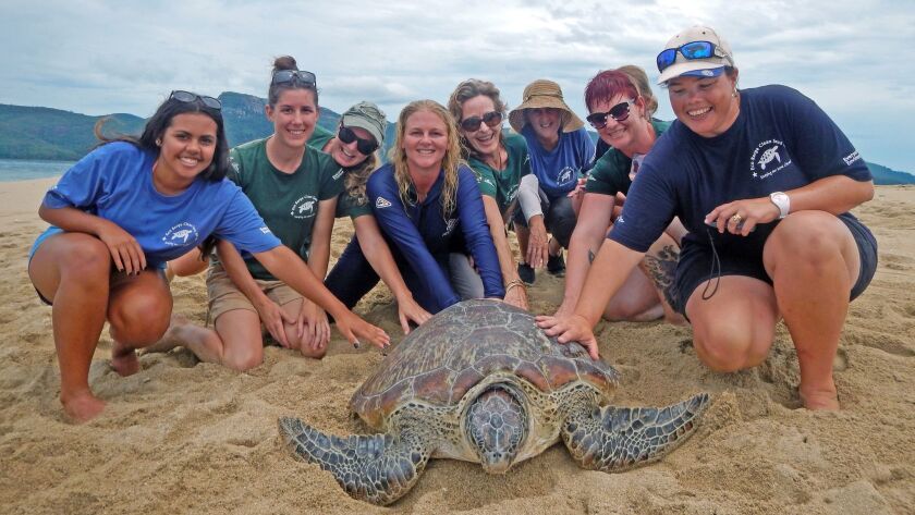 Libby Edge (center) with Eco Barge Clean Seas staff and volunteers and a turtle they are helping.