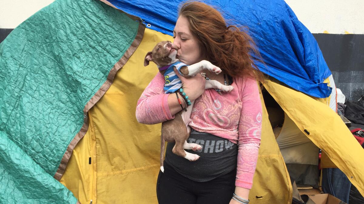 Andi Montoya, 29, with her 10-week old puppy, Hazelnut, lives in a tent in San Francisco with her husband. The base of their home is two flat Costco carts that can be wheeled away if they are forced to move.