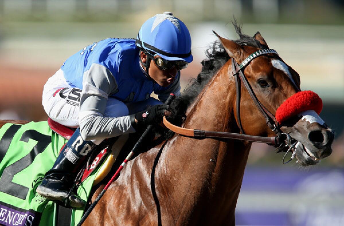 Jockey Rafael Bejarano guides Goldencents to victory in the Breeders' Cup Dirt Mile on Friday at Santa Anita Park.