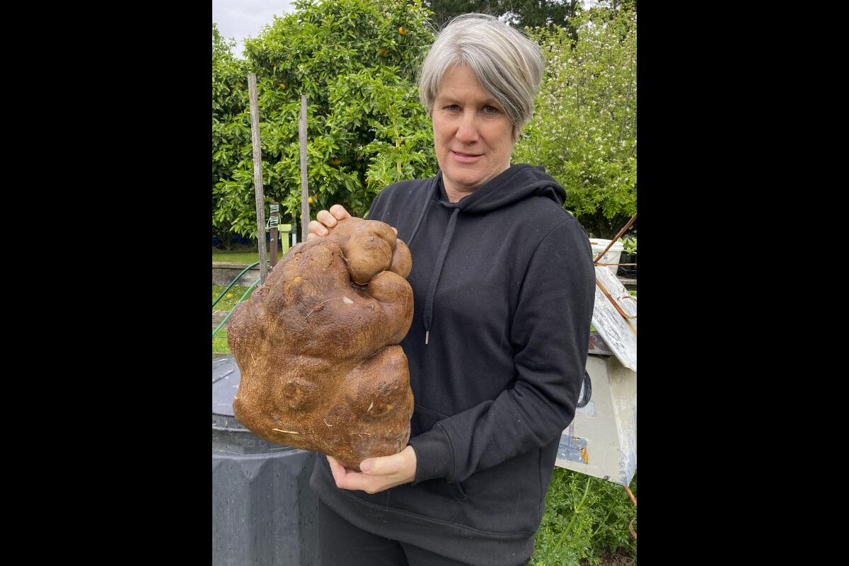 Woman holding what she thought was the world's largest potato