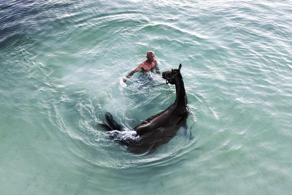 A man trains his race horse named Pereque in the sea.